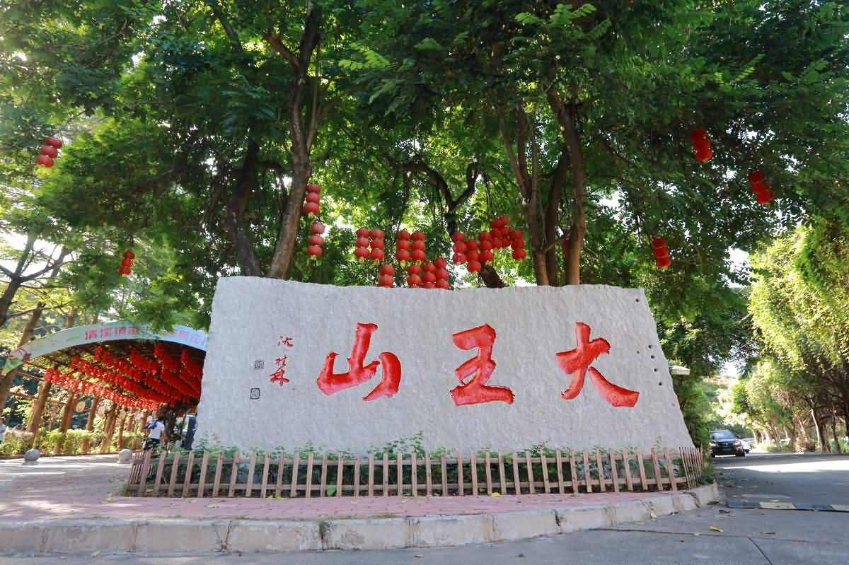 林长绿美园大王山趣味定向越野登山活动(图10)