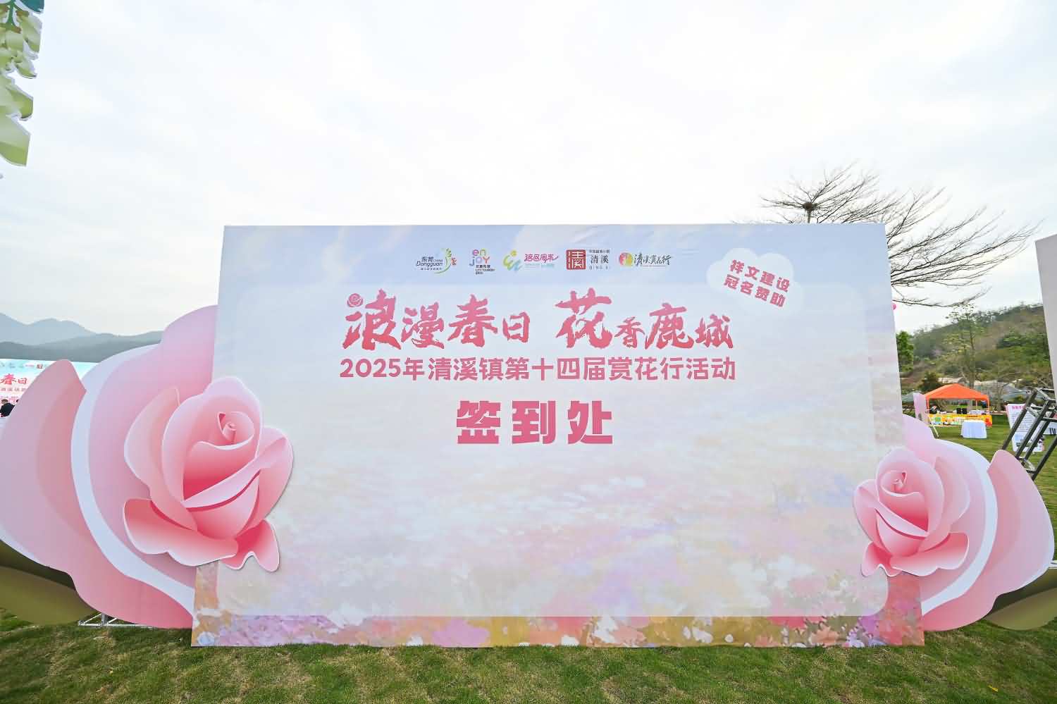 2025年清溪镇第十四届赏花行活动(图6)