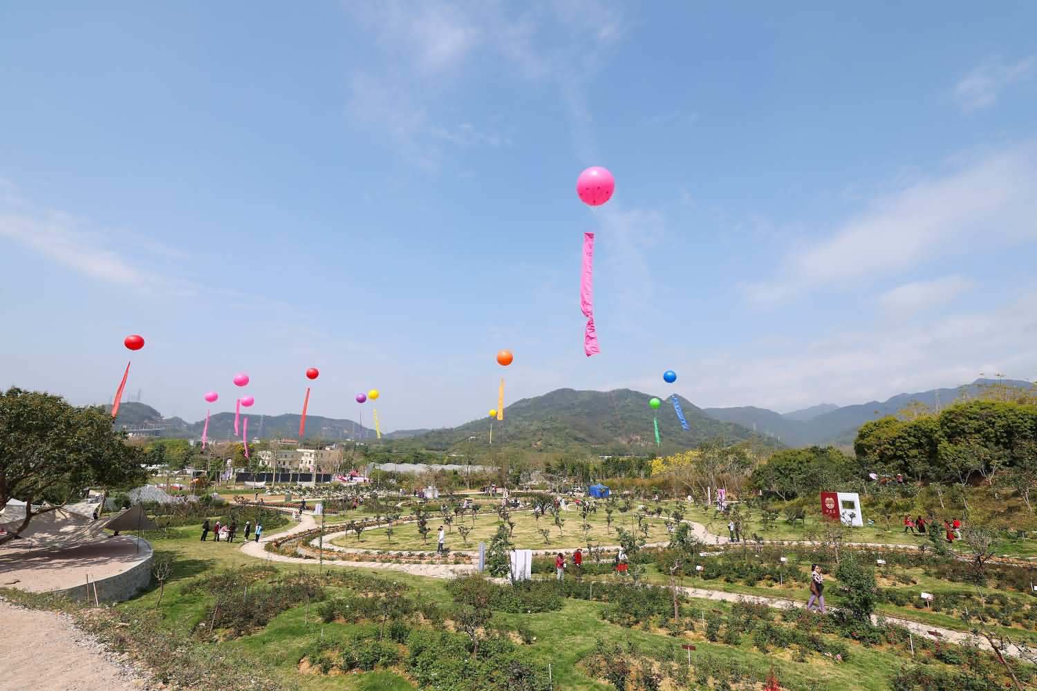 2025年清溪镇第十四届赏花行活动(图26)