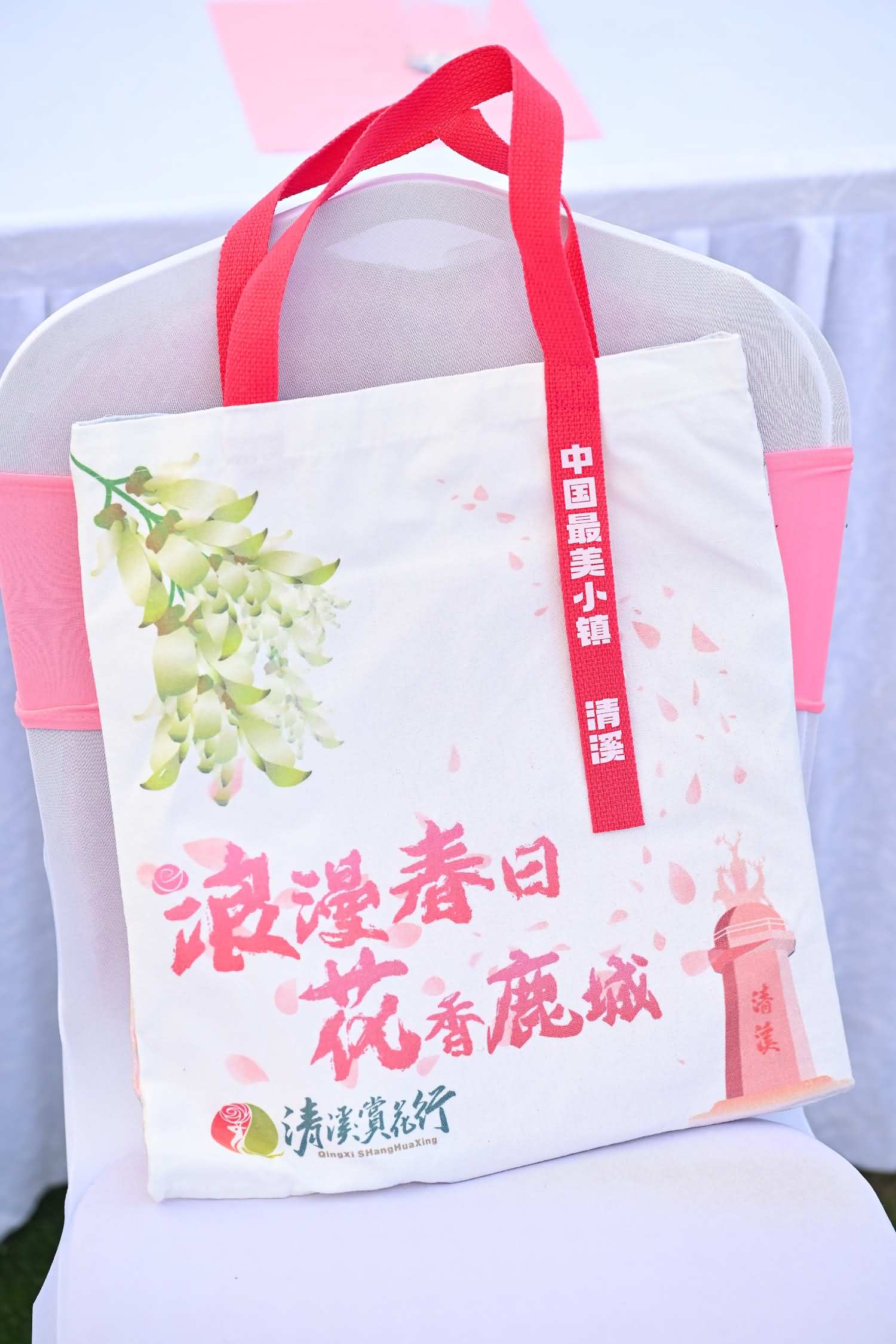 2025年清溪镇第十四届赏花行活动(图11)