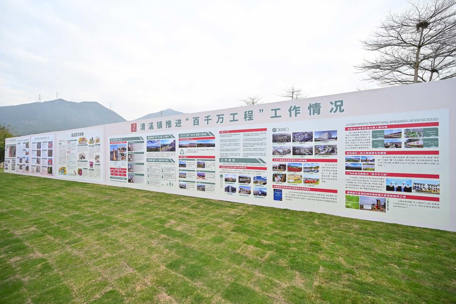2025年清溪镇第十四届赏花行活动(图7)