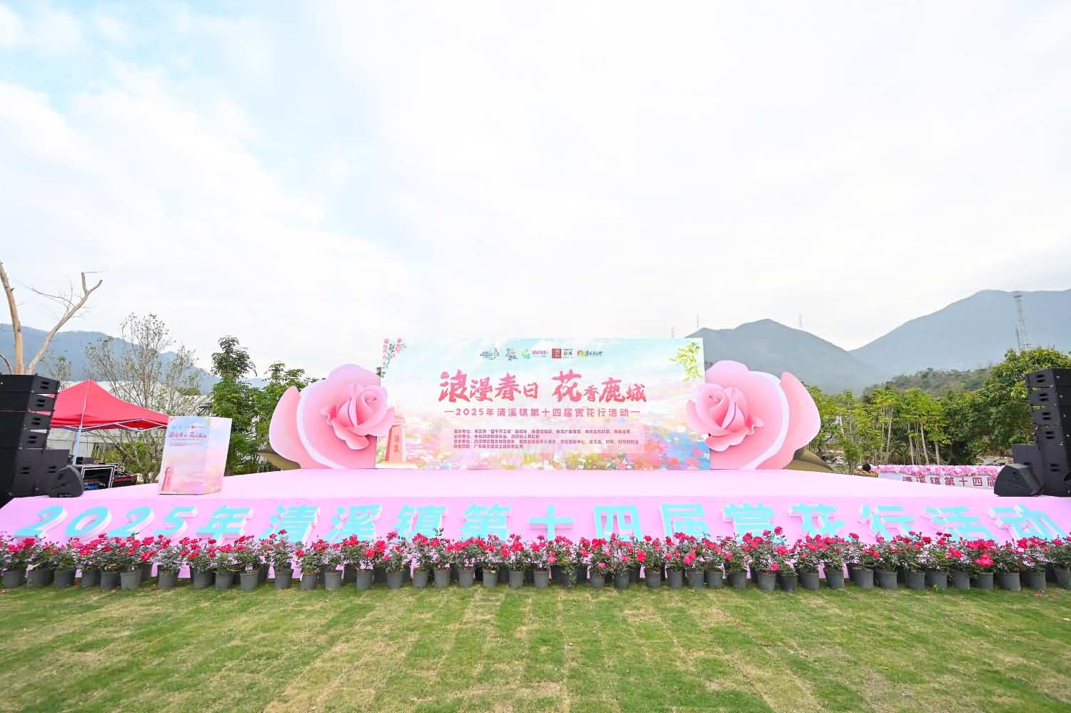 2025年清溪镇第十四届赏花行活动(图9)