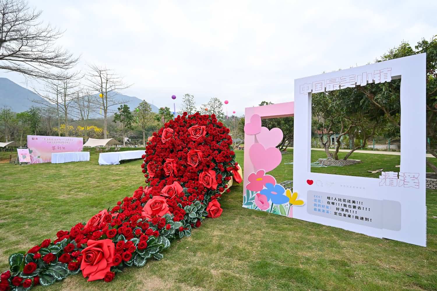 2025年清溪镇第十四届赏花行活动(图4)