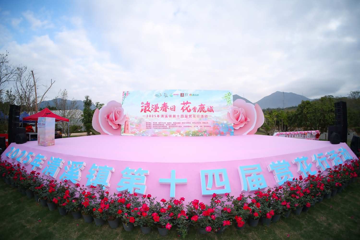 2025年清溪镇第十四届赏花行活动(图13)