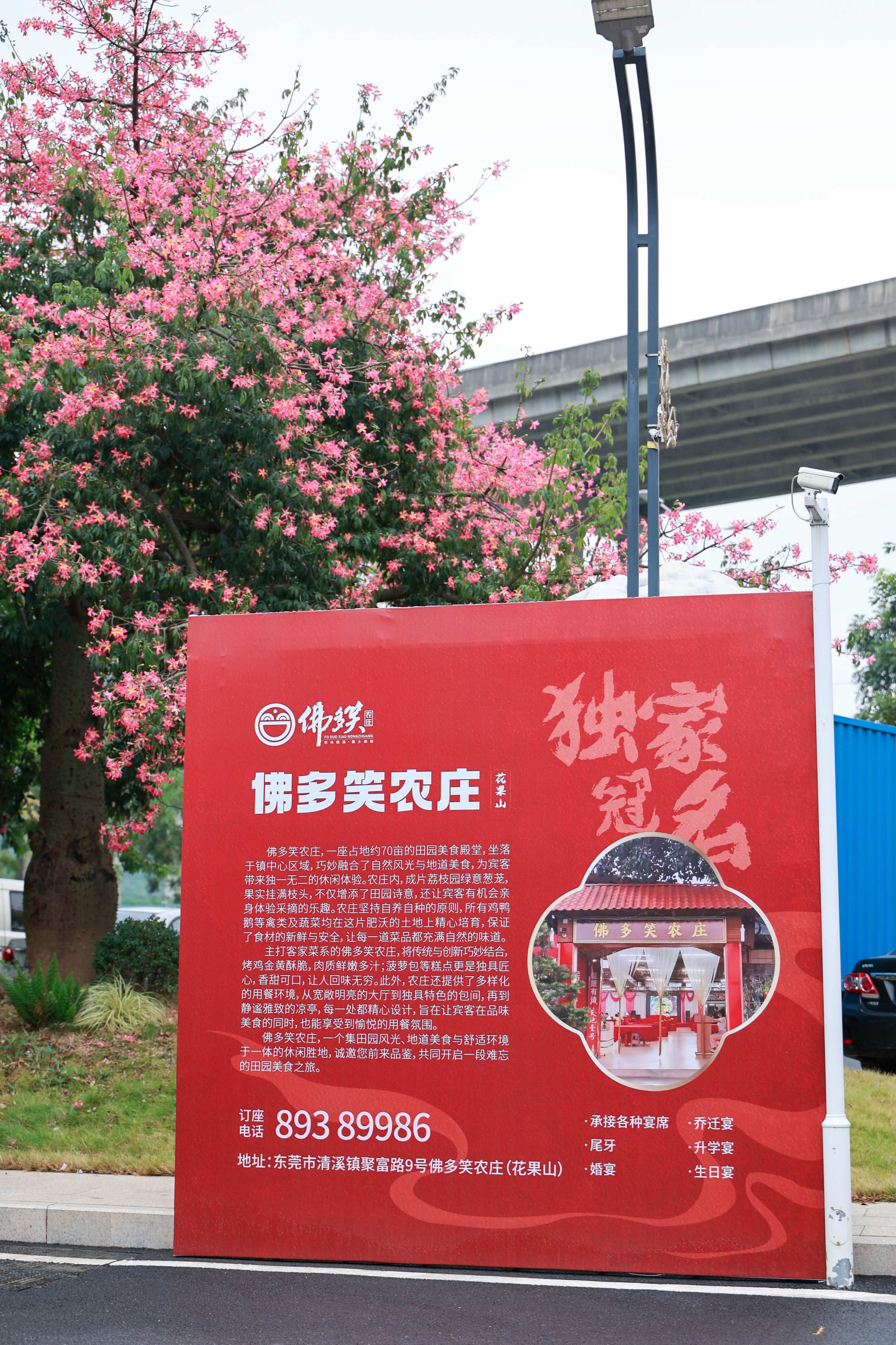 百鹅威宴寻味客家2024清溪镇第二届客家“焖年鹅”现场烹饪活动(图1)